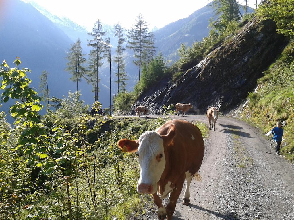 Feriendorf Ponyhof Fusch an der Grossglocknerstrasse Exterior foto