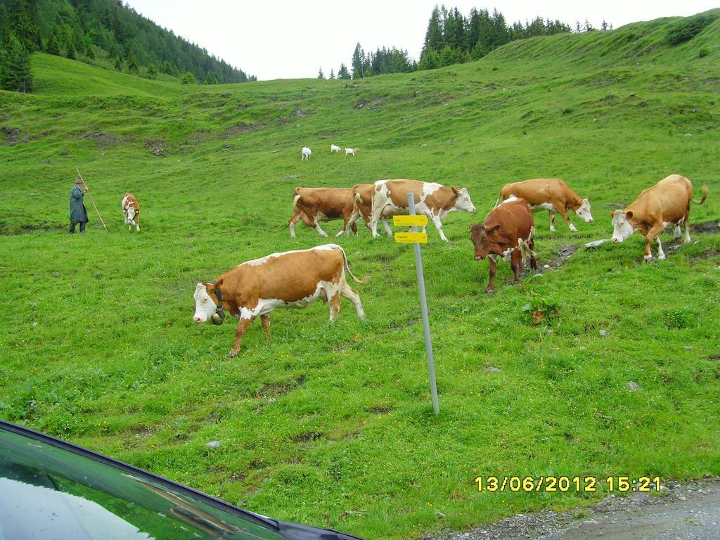 Feriendorf Ponyhof Fusch an der Grossglocknerstrasse Exterior foto